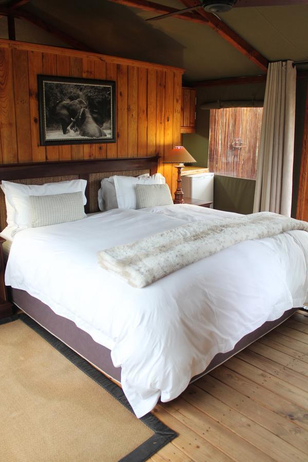 Addo Elephant Lodge & Safaris Kirkwood Quarto foto