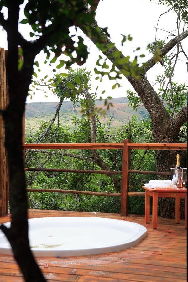Addo Elephant Lodge & Safaris Kirkwood Exterior foto